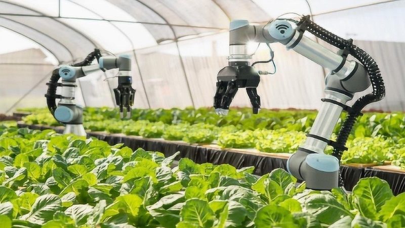 植保无人机市场：价格之外，你还需要了解这些**
